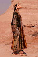 Picture of Chak 77 Janoobi