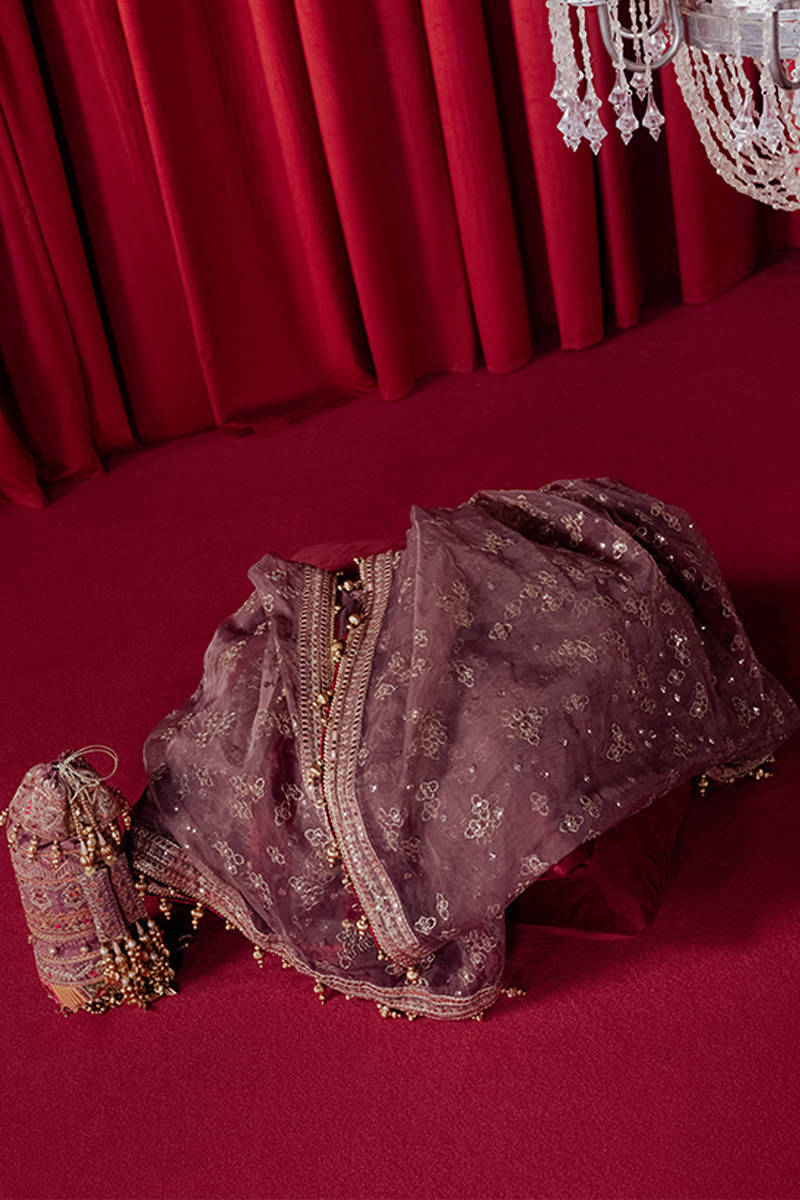 Picture of Dil Nasheen