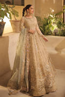 Picture of Saboor Aly in Shabnami