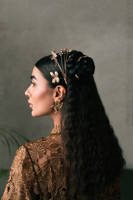 Picture of Mystic Pine (Jacket Only)