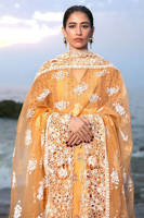 Picture of Nargis Ka Phool