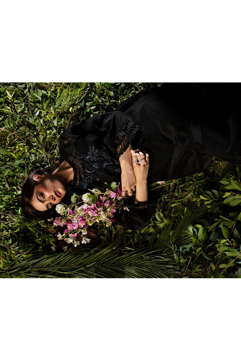 Picture of Black Broncho