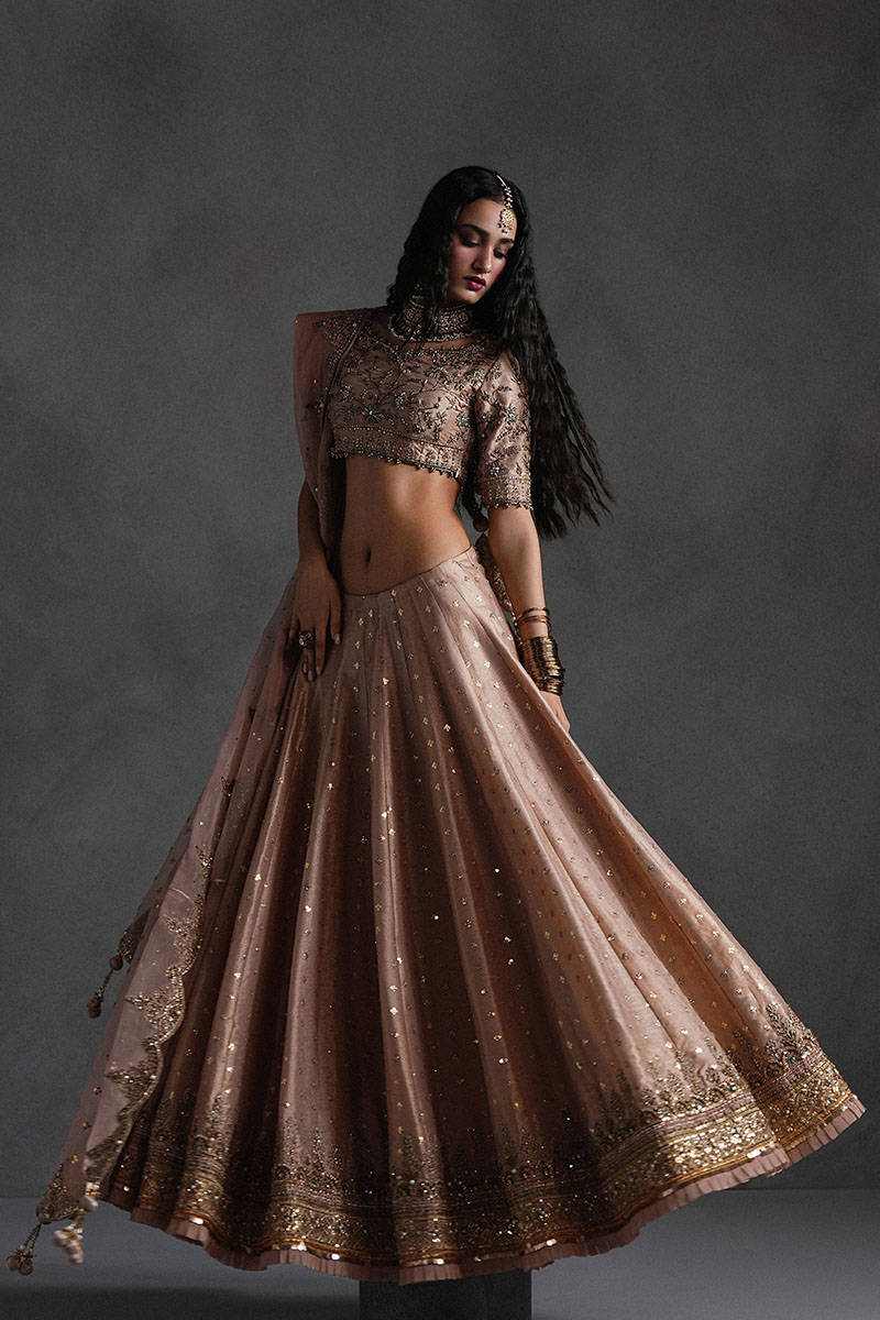 Picture of Rose Pink Lehnga Choli