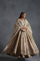 Picture of Gold Tissue Peshwas