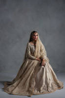 Picture of Gold Tissue Peshwas