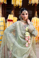 Picture of Sahib Jan A