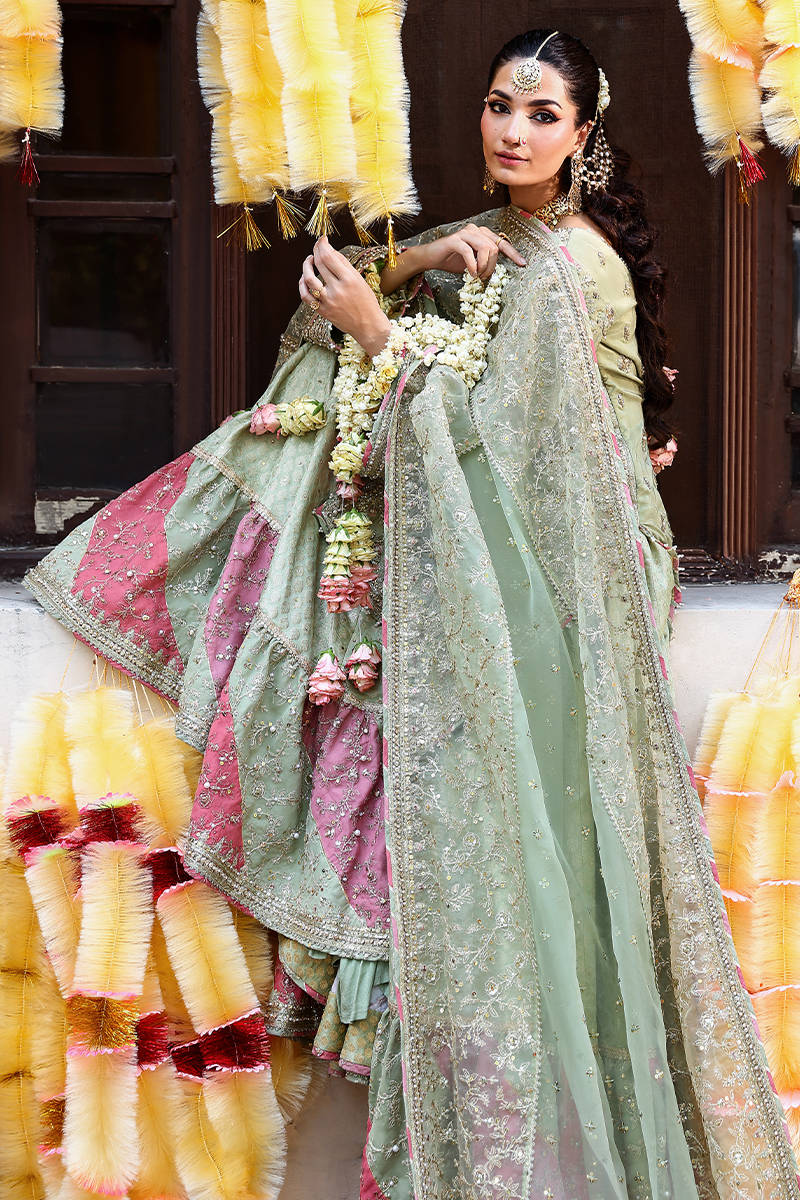 Picture of Sahib Jan A