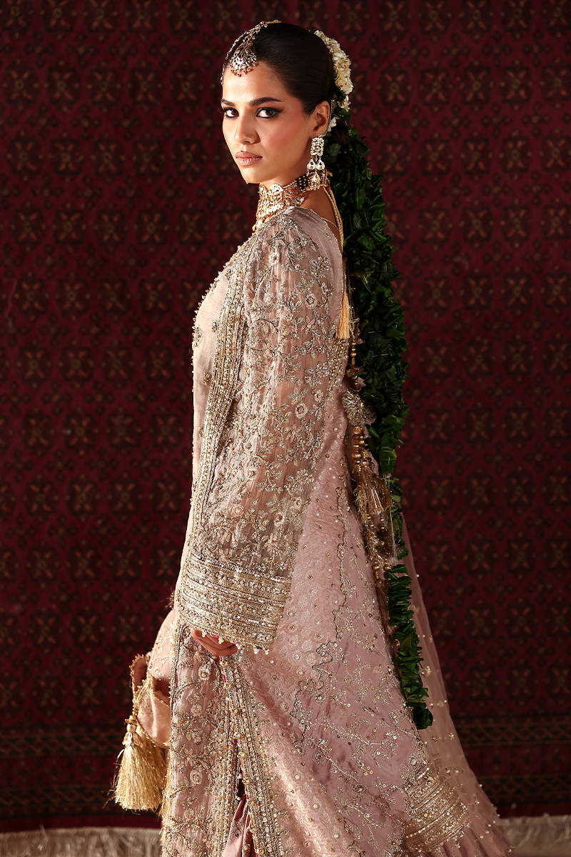 Picture of Sahib Jan B