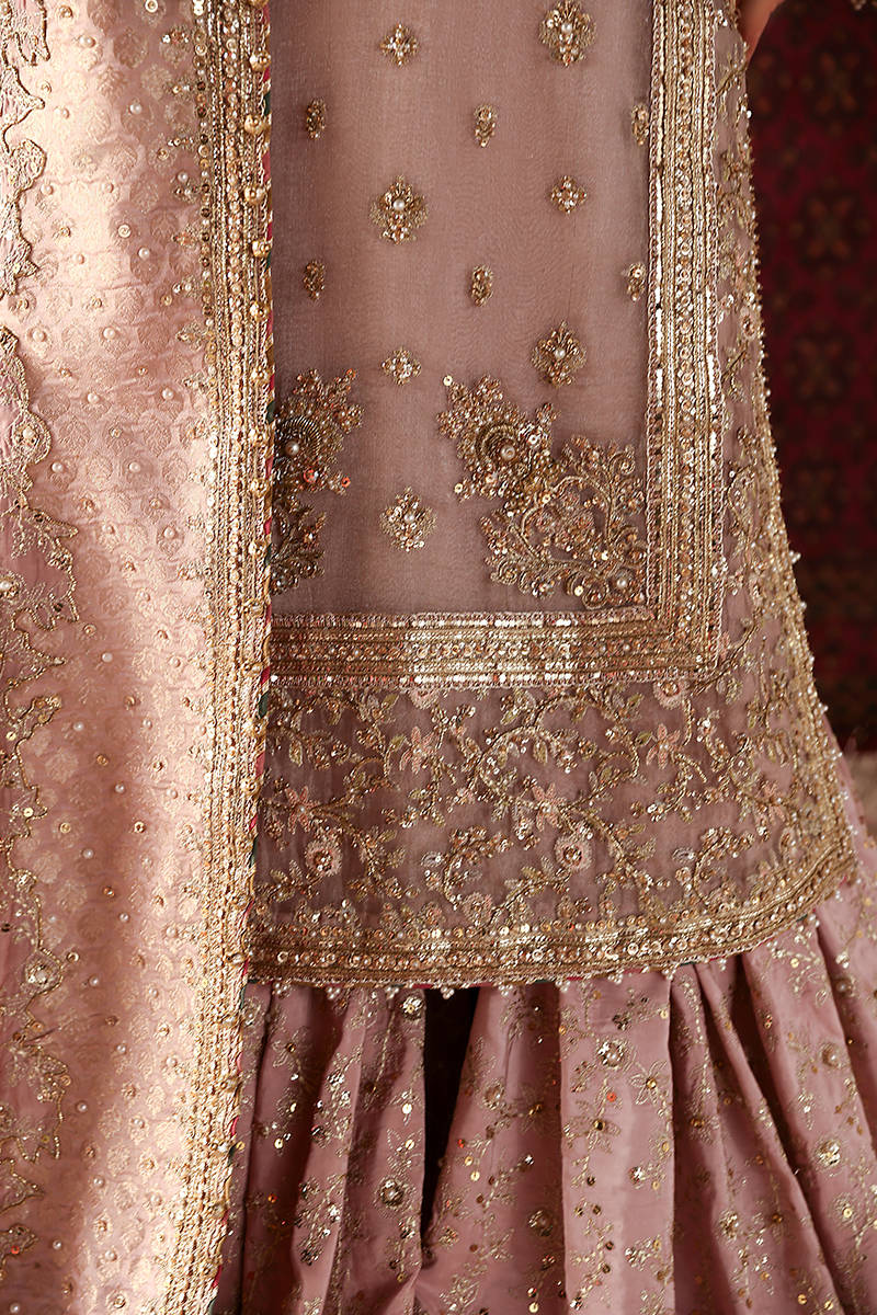 Picture of Sahib Jan B