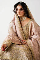 Picture of Sahib Jan B