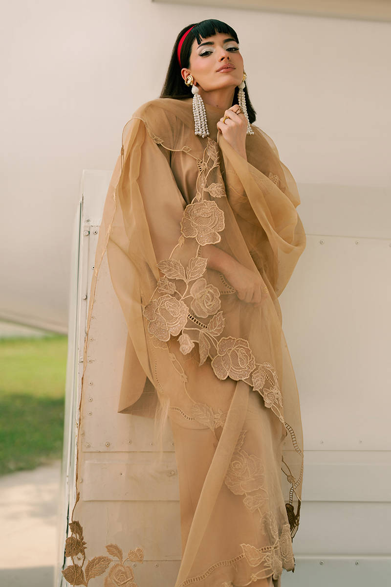 Picture of Sand Dust With Dupatta