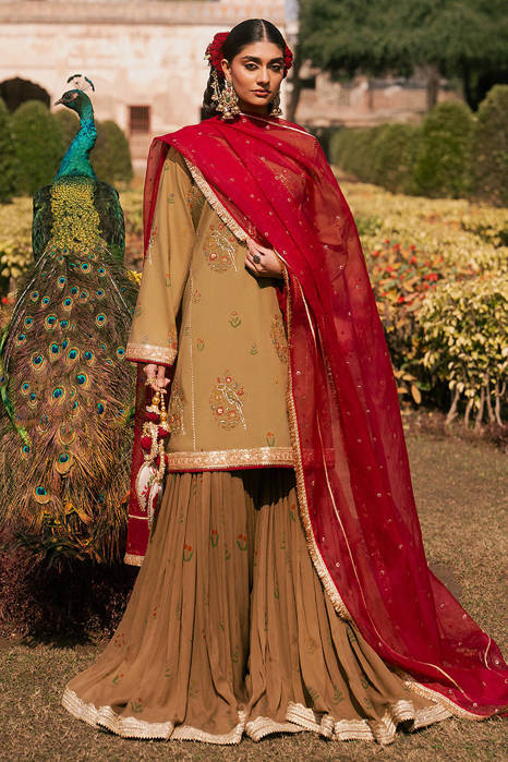 Picture of Noor e Dastaan