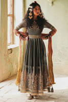 Picture of Ronak-e-Chaman