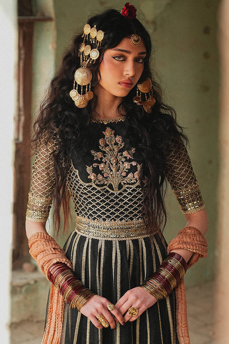 Picture of Ronak-e-Chaman