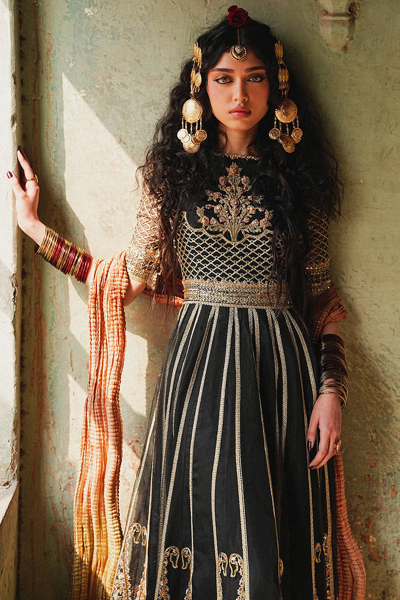 Picture of Ronak-e-Chaman