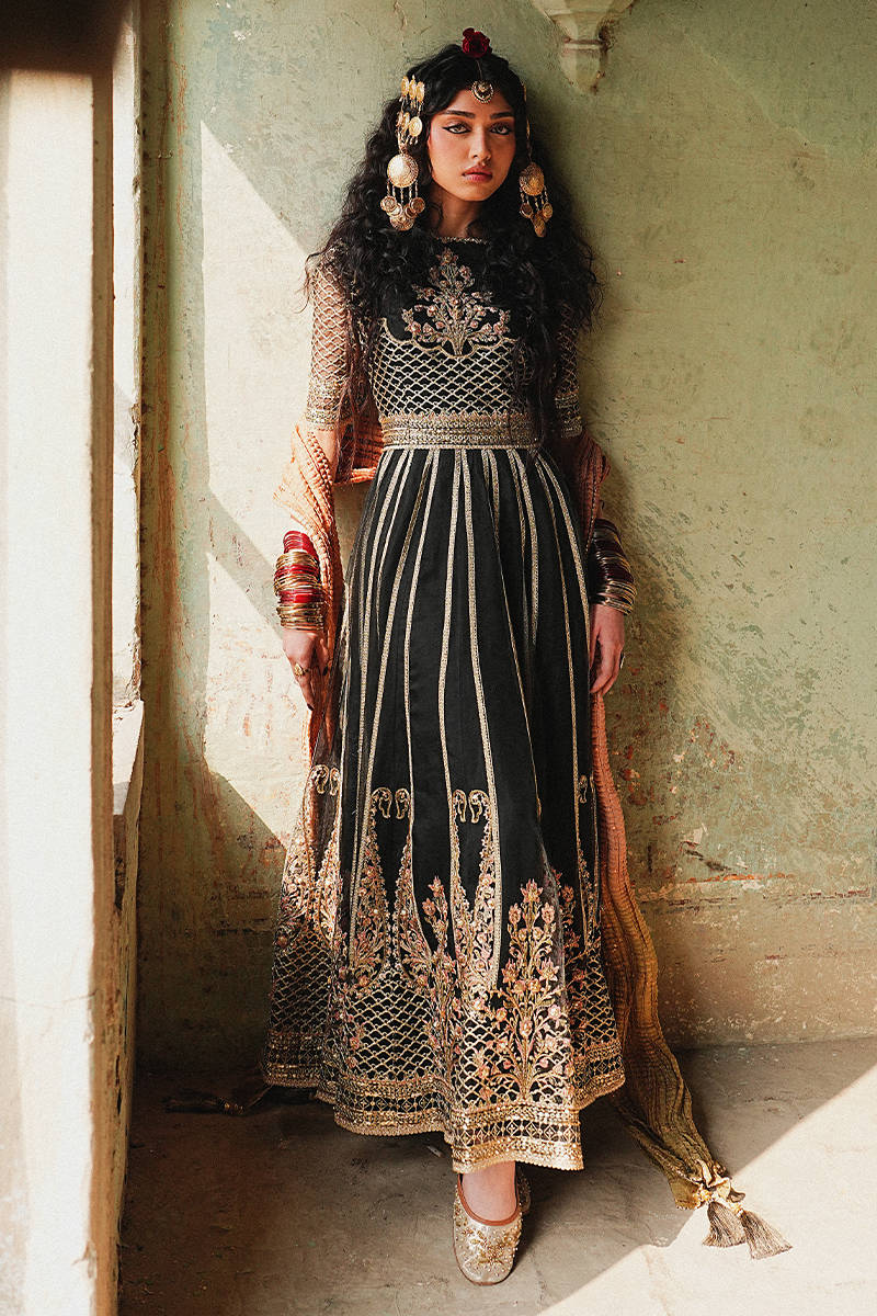 Picture of Ronak-e-Chaman