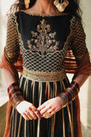 Picture of Ronak-e-Chaman