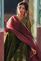 Picture of Ronak-e-Bahar