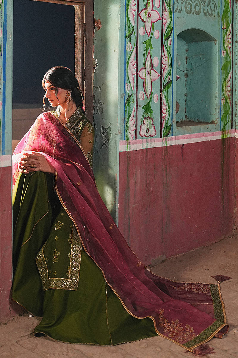 Picture of Ronak-e-Bahar