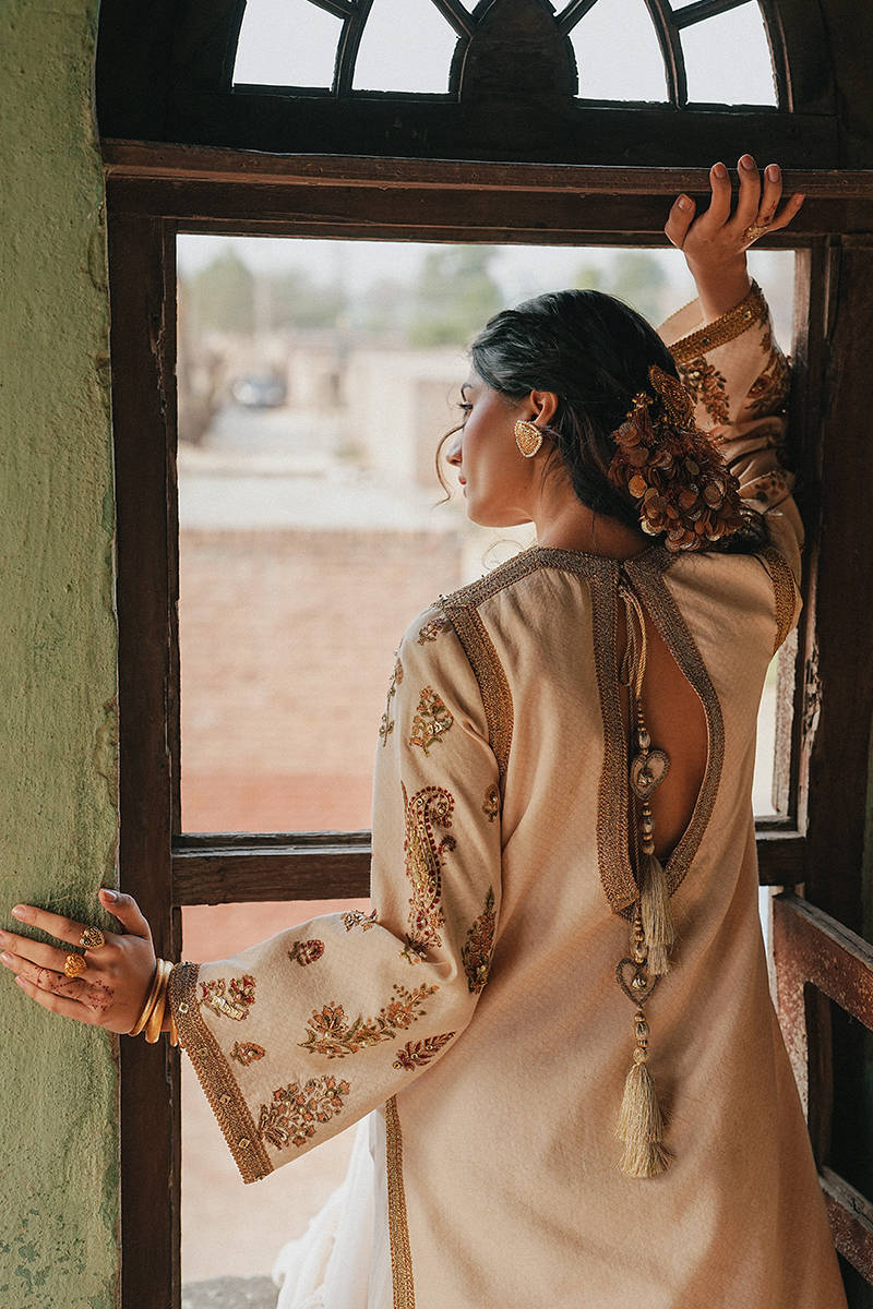 Picture of Noor-e-Bahar