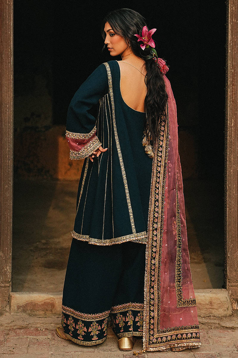 Picture of Neel-e-Ronak