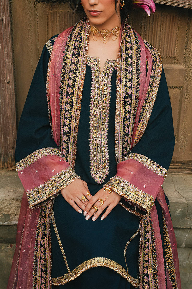 Picture of Neel-e-Ronak