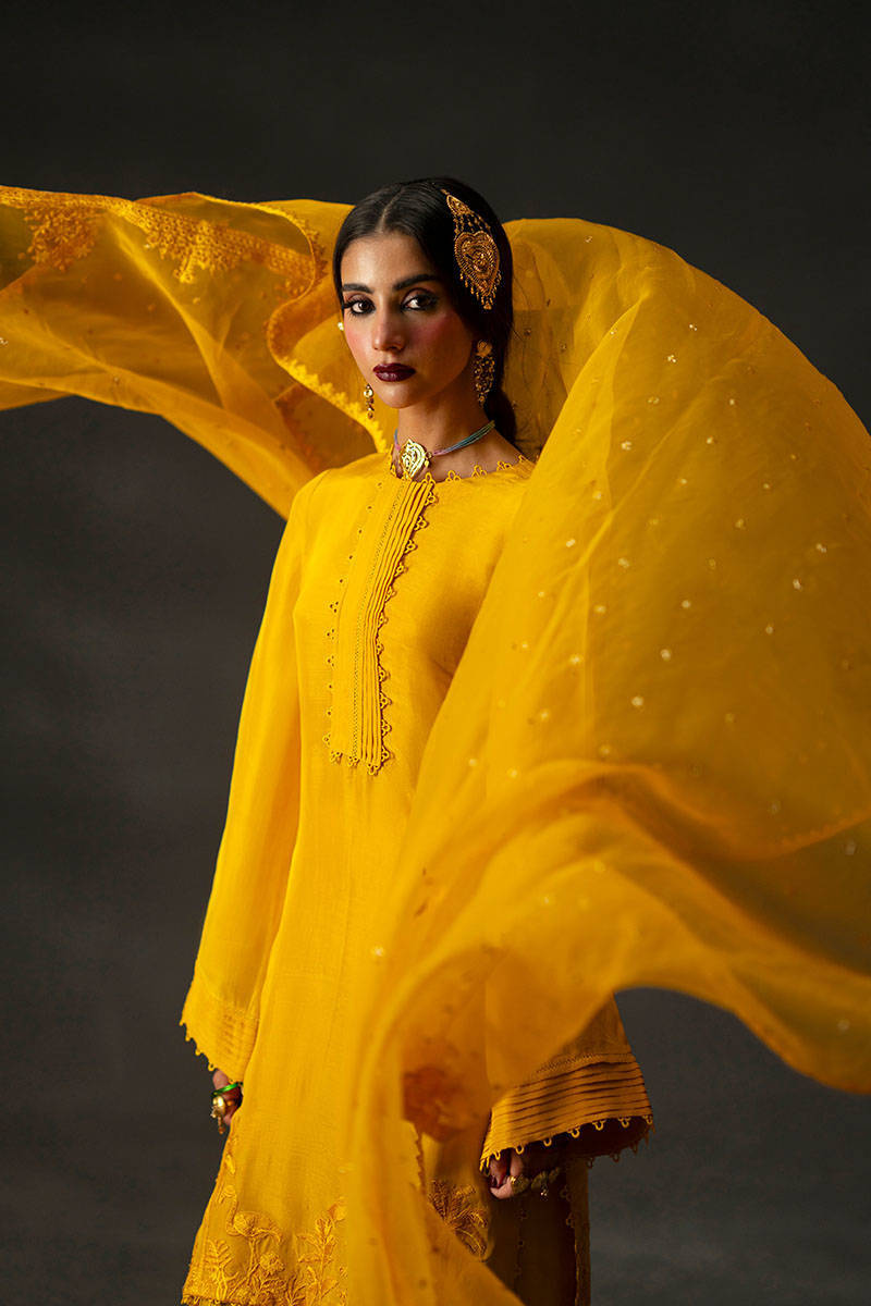 Picture of Iqbal Bano