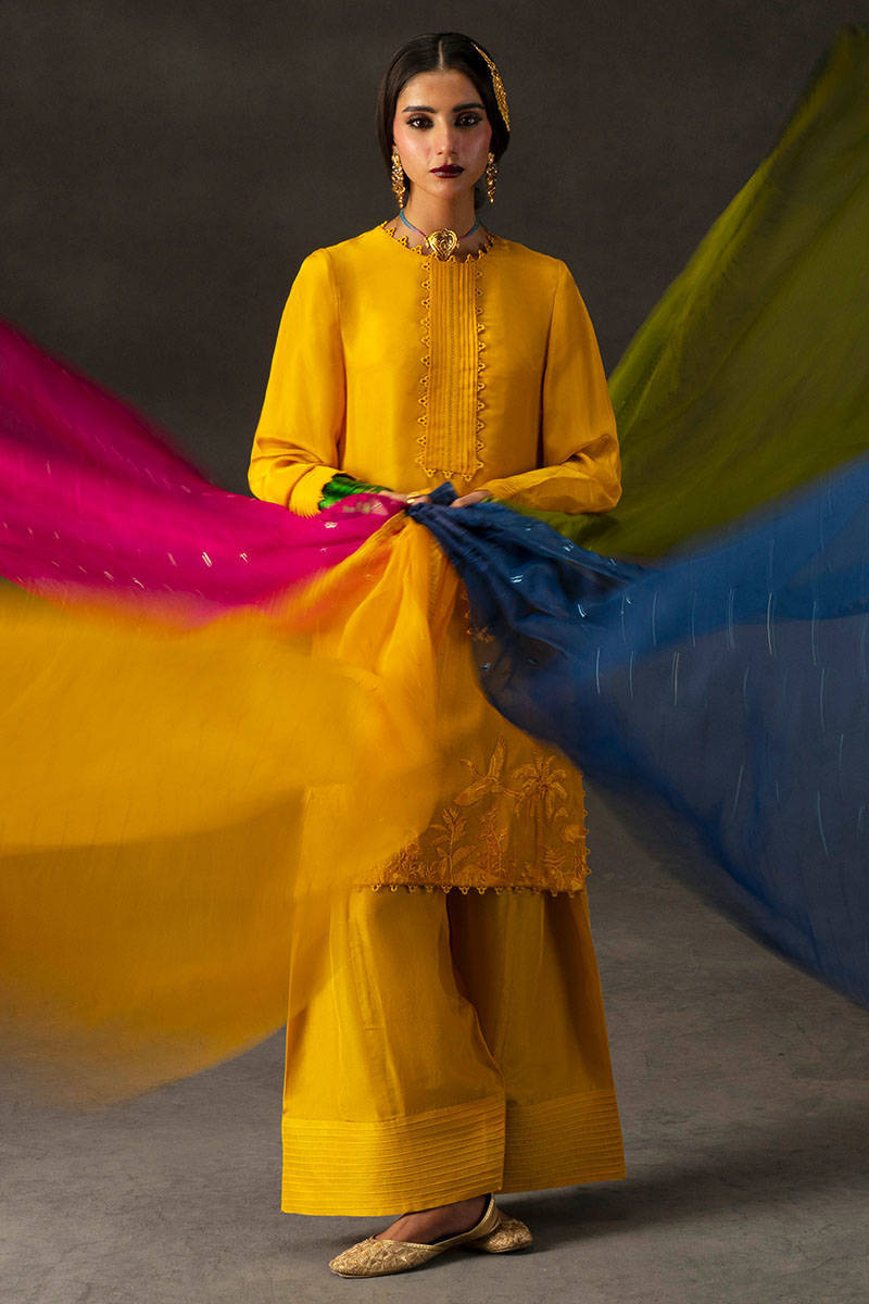 Picture of Iqbal Bano