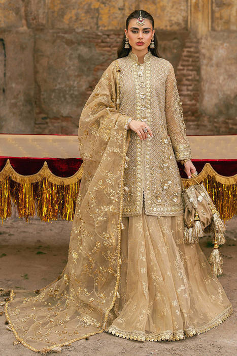 Roshni