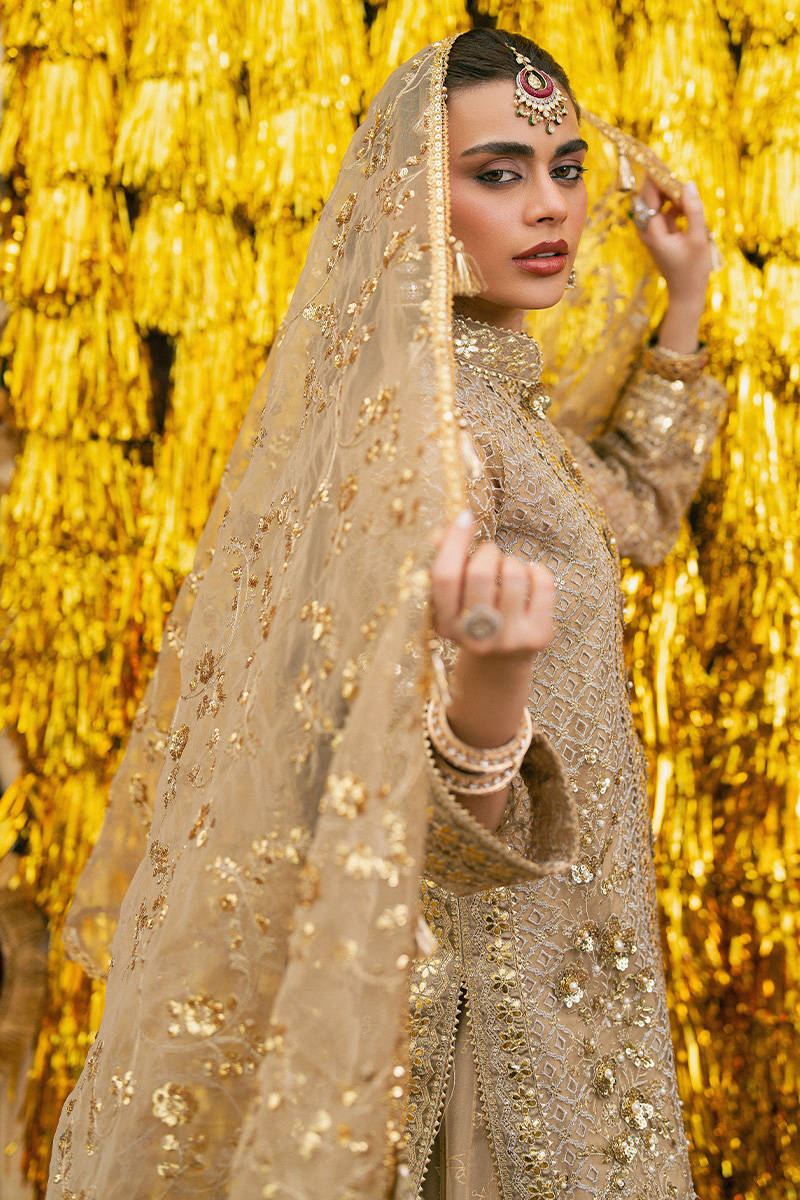 Picture of Roshni