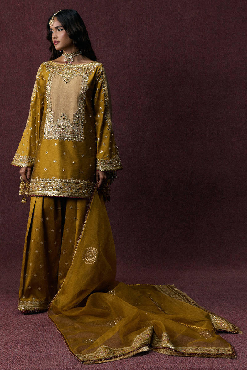 Picture of Bahar Begum