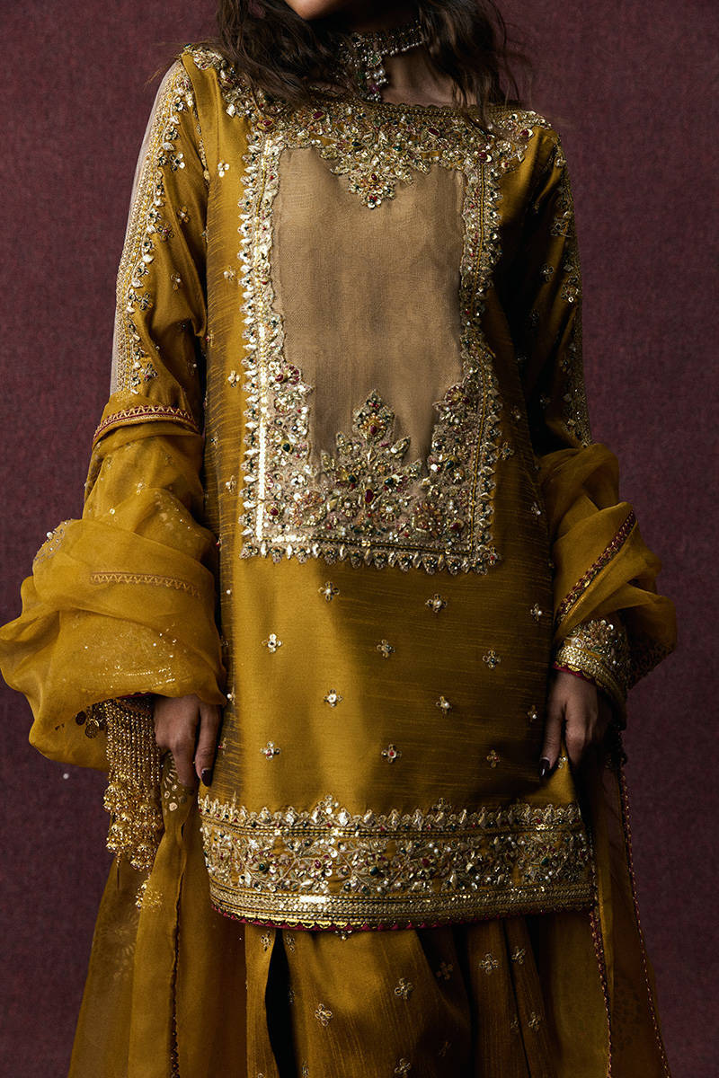 Picture of Bahar Begum