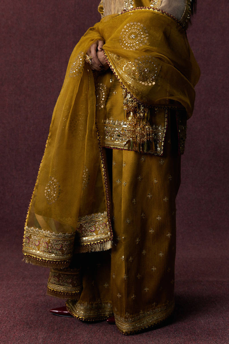 Picture of Bahar Begum