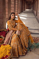 Picture of Gul-E-Maryam