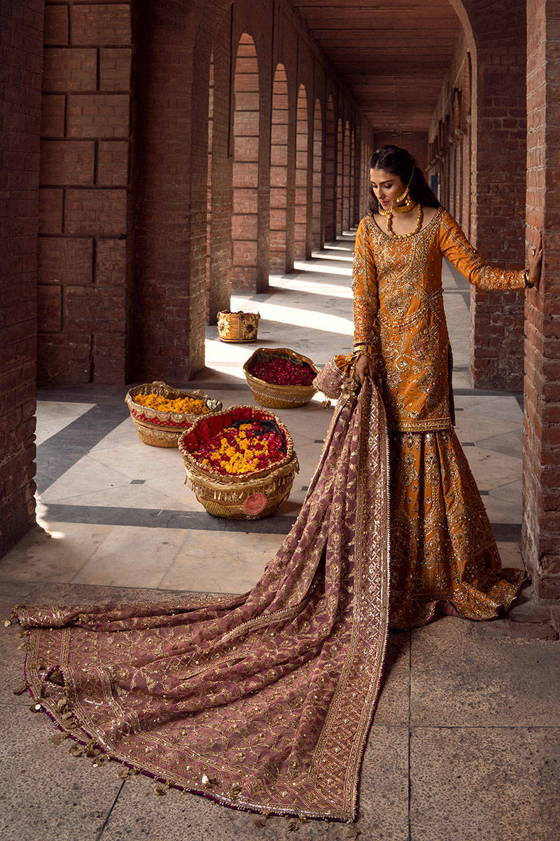 Picture of Gul-E-Maryam