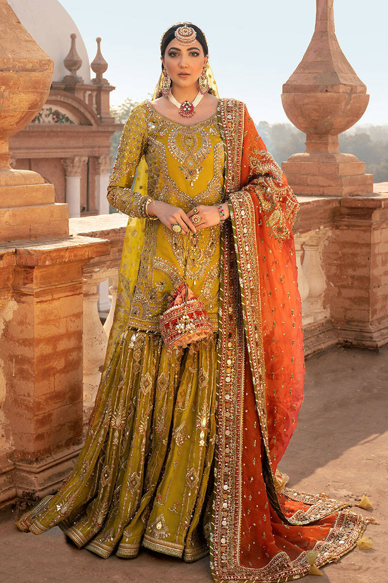 Picture of Zaitoon bibi