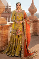 Picture of Zaitoon bibi