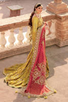 Picture of Zaitoon bibi