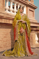 Picture of Zaitoon bibi