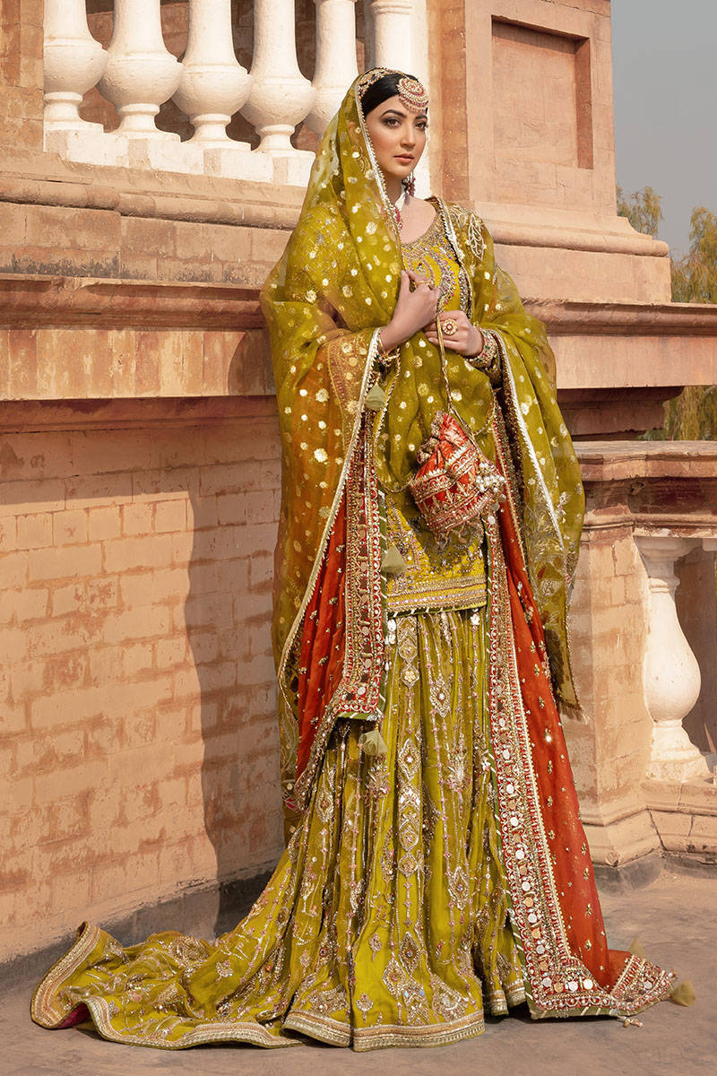 Picture of Zaitoon bibi