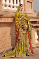 Picture of Zaitoon bibi