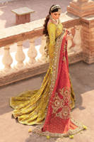 Picture of Zaitoon bibi
