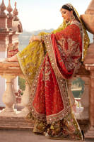 Picture of Zaitoon bibi