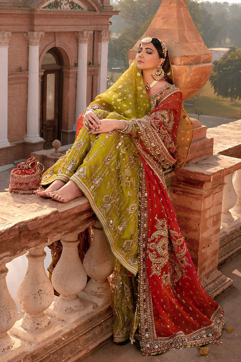 Picture of Zaitoon bibi