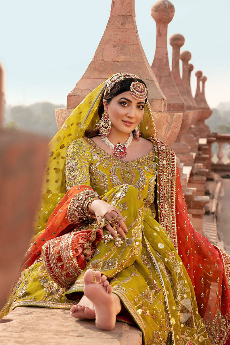 Picture of Zaitoon bibi
