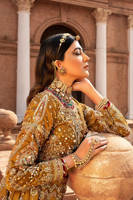 Picture of Kesar Mahal