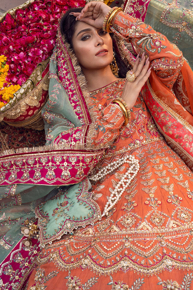 Picture of Shafaq