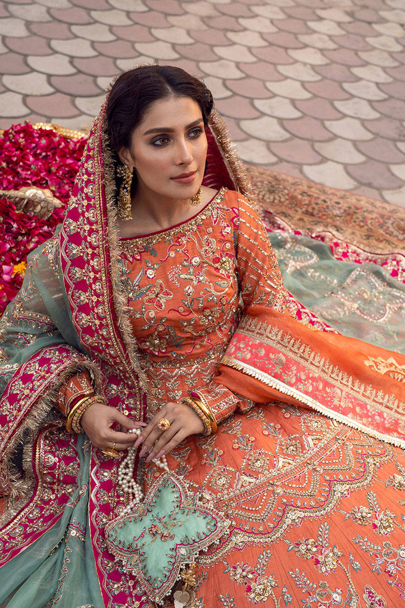 Picture of Shafaq