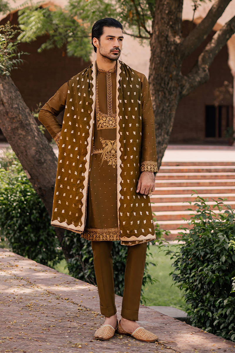 Picture of Zaraar