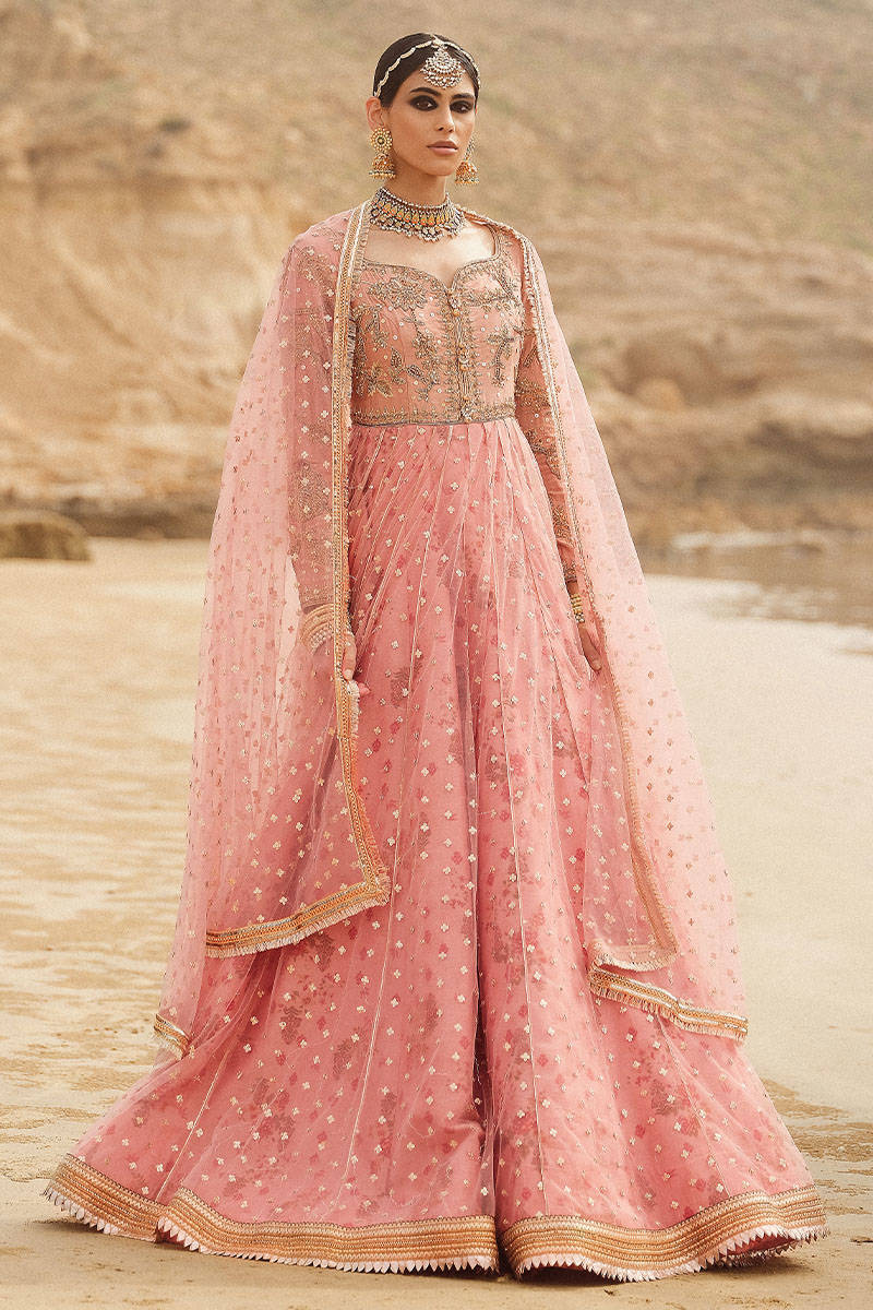 Picture of Meera